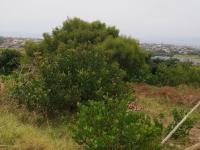  of property in Mossel Bay