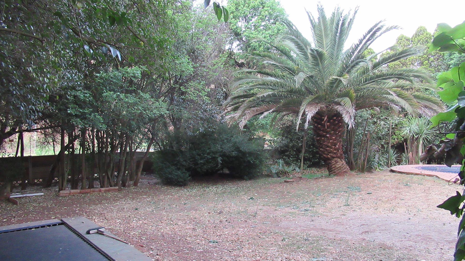 Backyard of property in Kloofendal