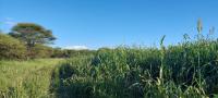  of property in Roedtan