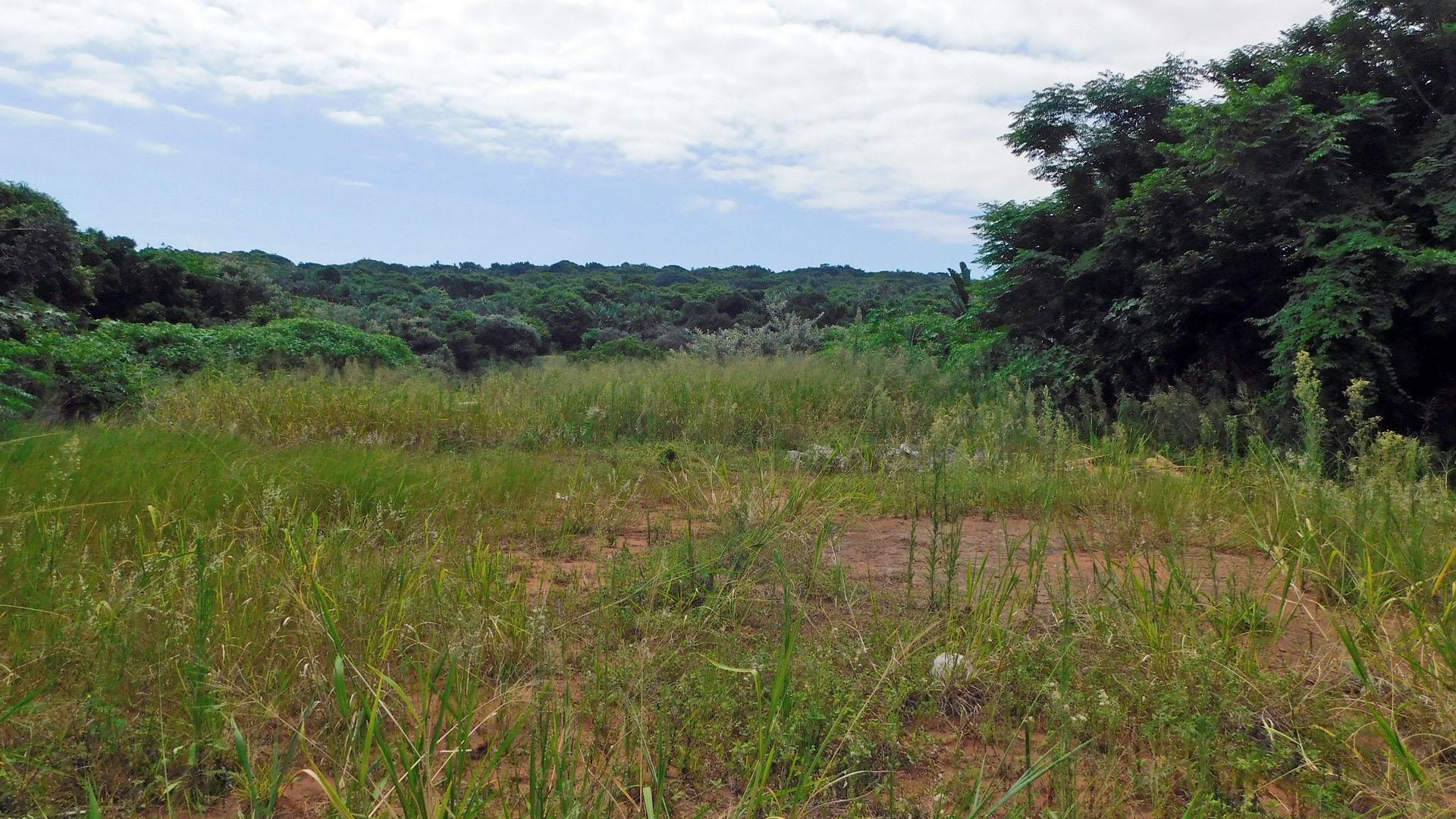 Front View of property in Mtwalumi