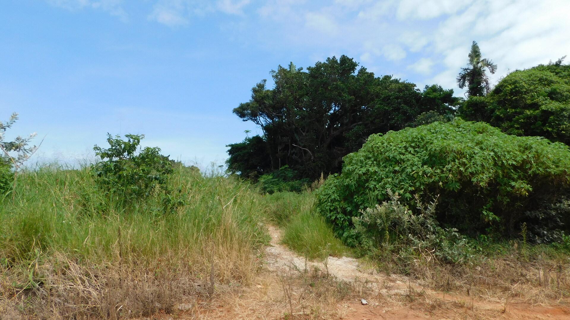 Front View of property in Mtwalumi