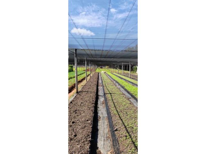Smallholding for Sale For Sale in Kameeldrift West - MR614074