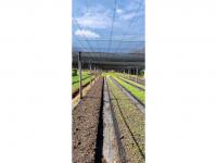 Smallholding for Sale for sale in Kameeldrift West