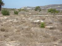  of property in Shelley Point