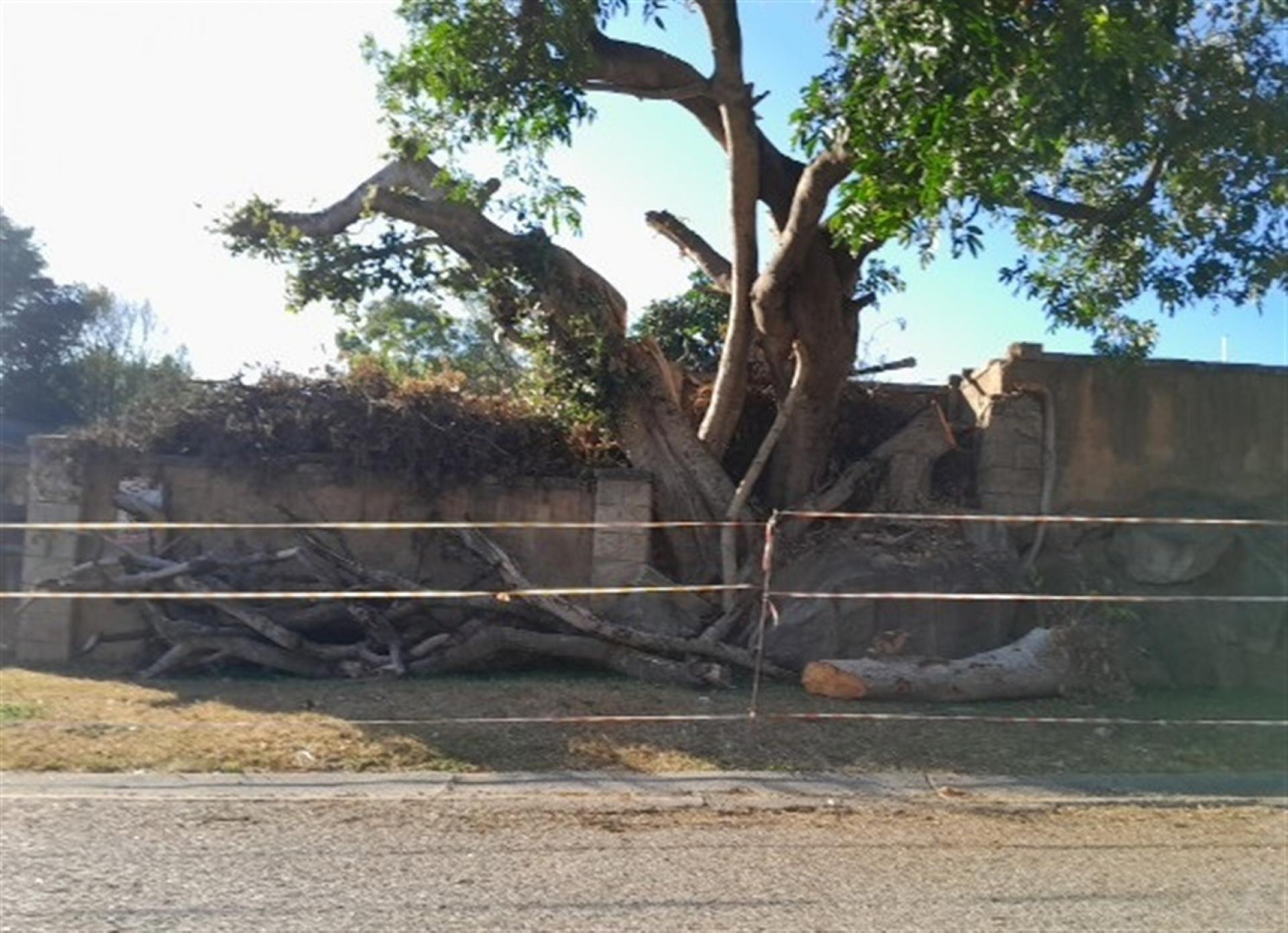 Front View of property in West Acres