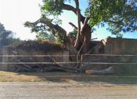 Front View of property in West Acres