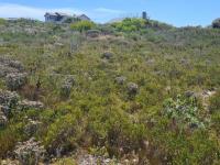  of property in Mossel Bay
