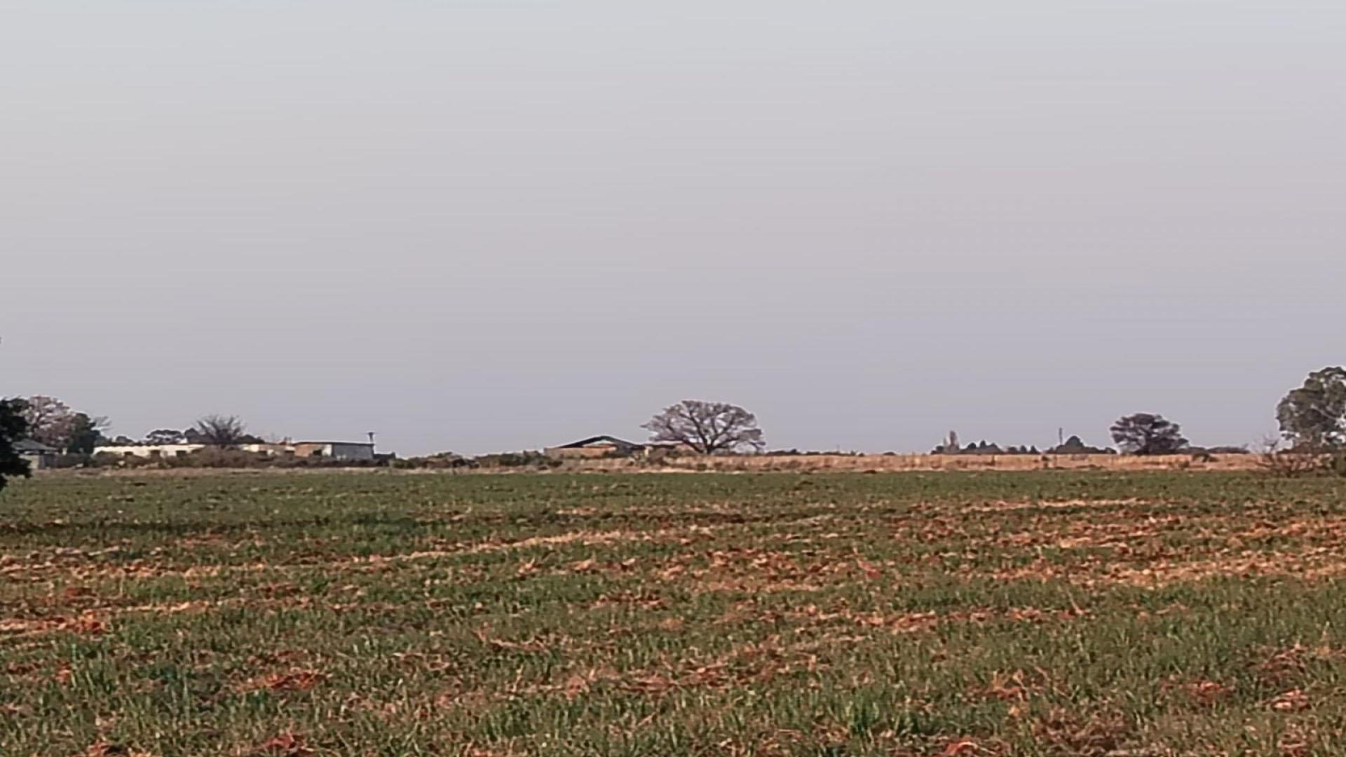Spaces of property in Roodia