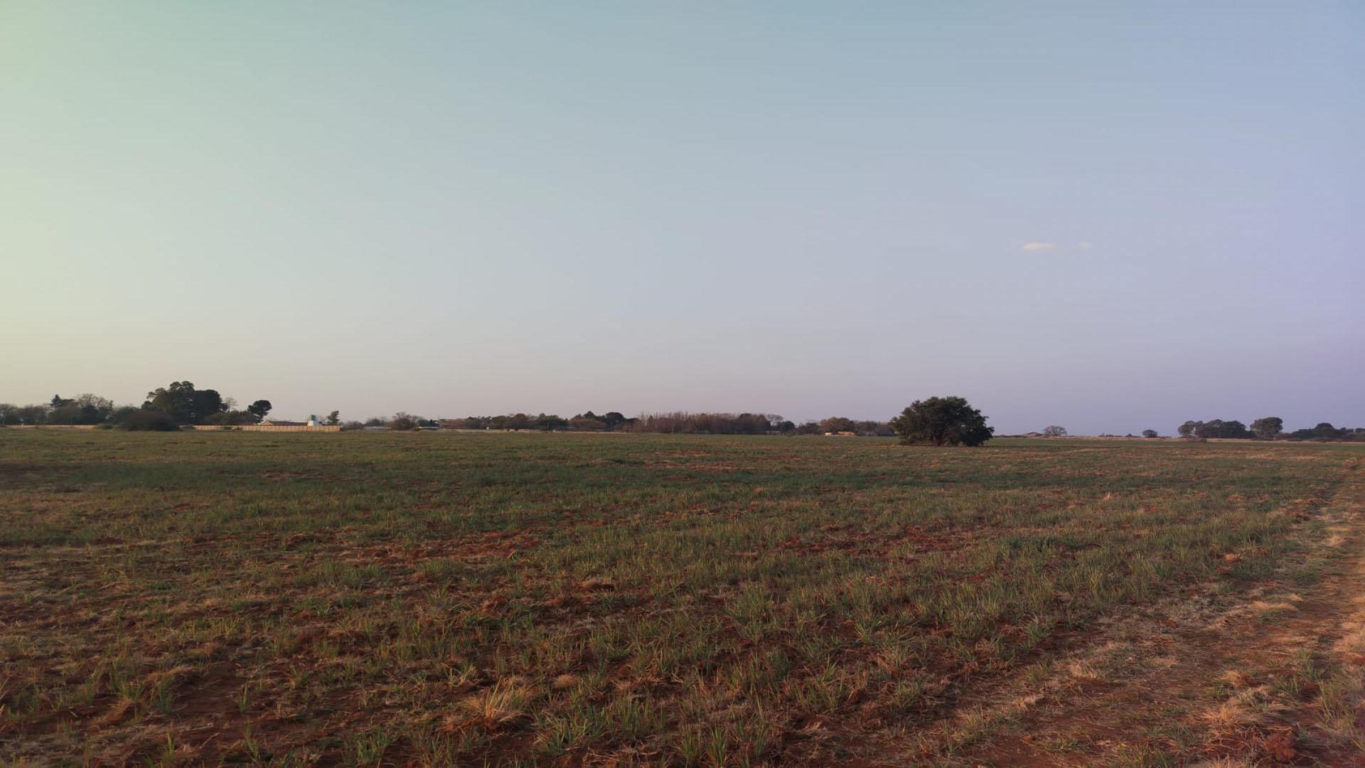 Spaces of property in Roodia