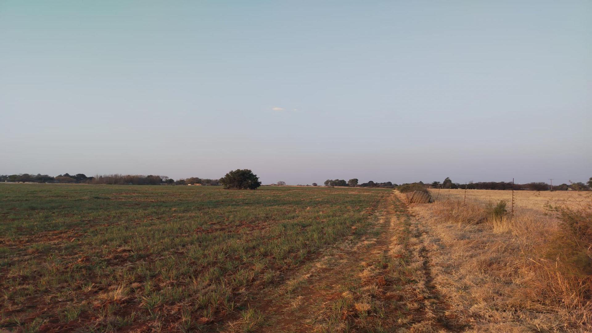 Spaces of property in Roodia