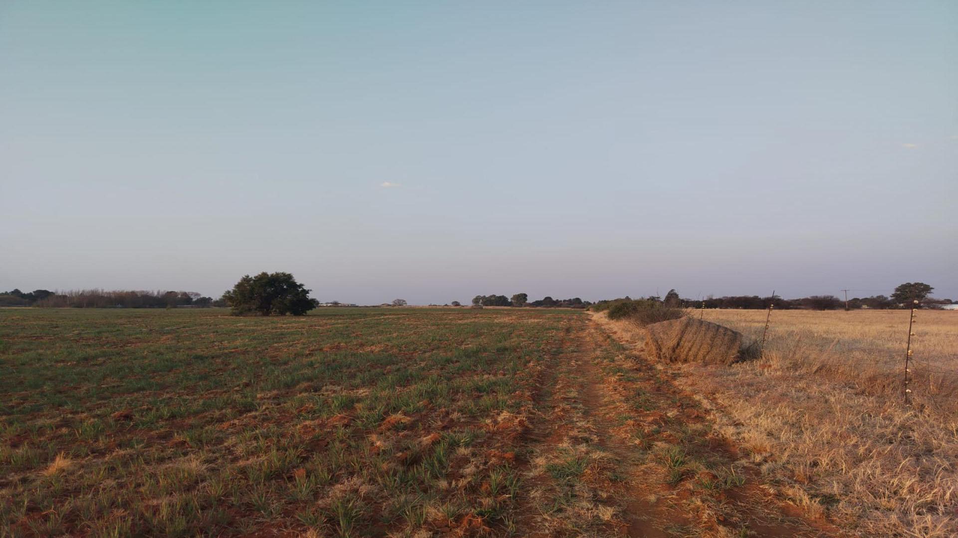 Spaces of property in Roodia