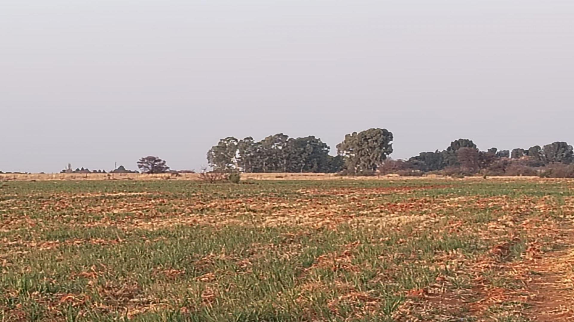 Spaces of property in Roodia