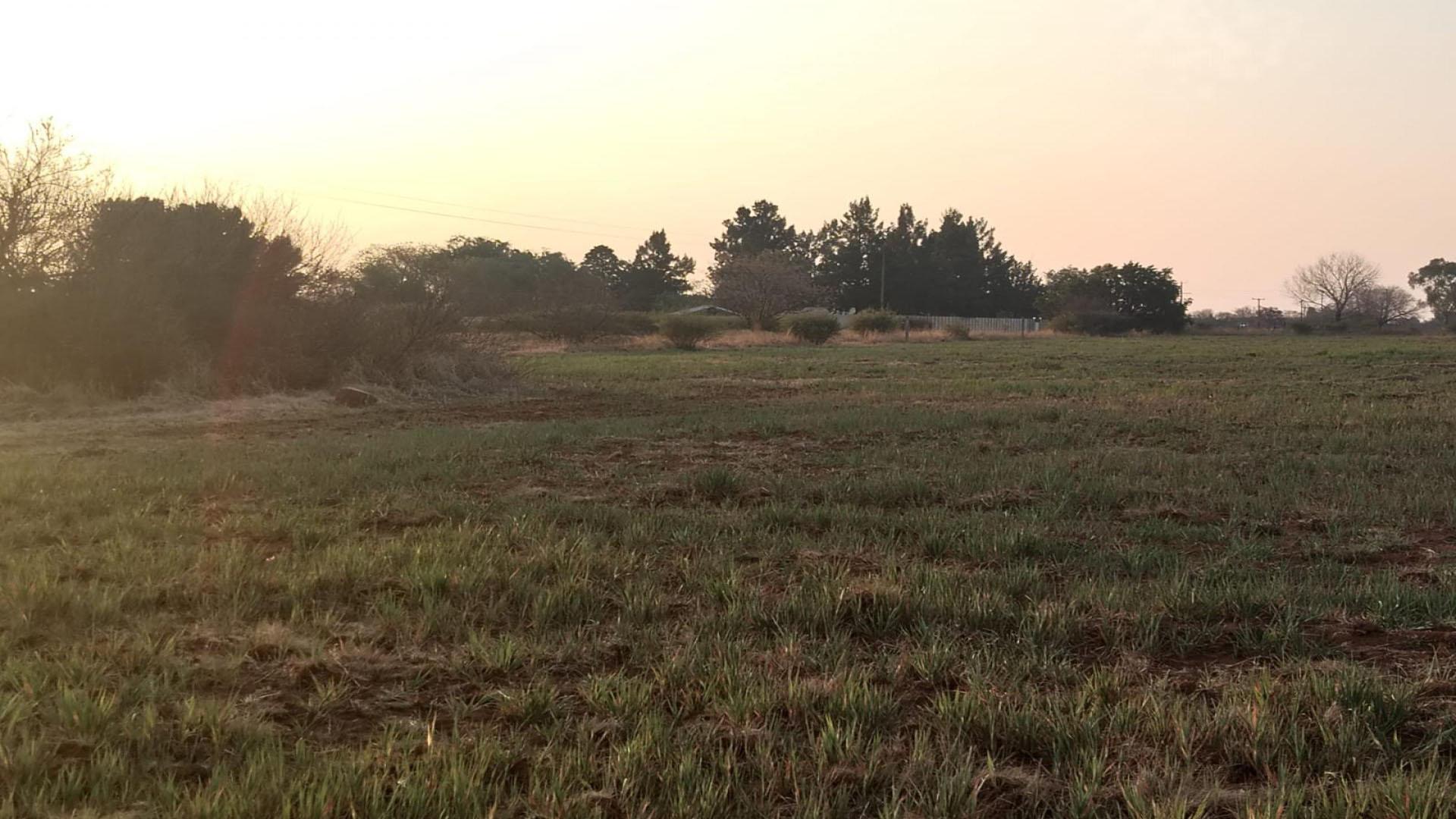 Spaces of property in Roodia