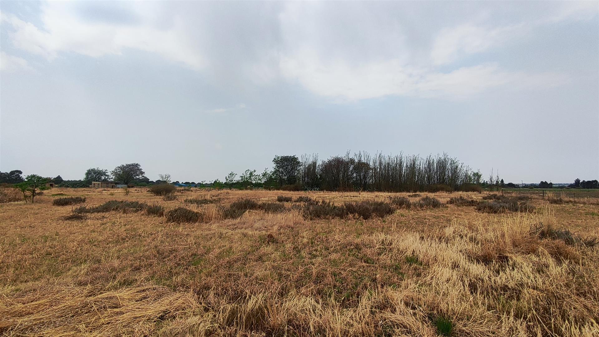 Front View of property in Roodia