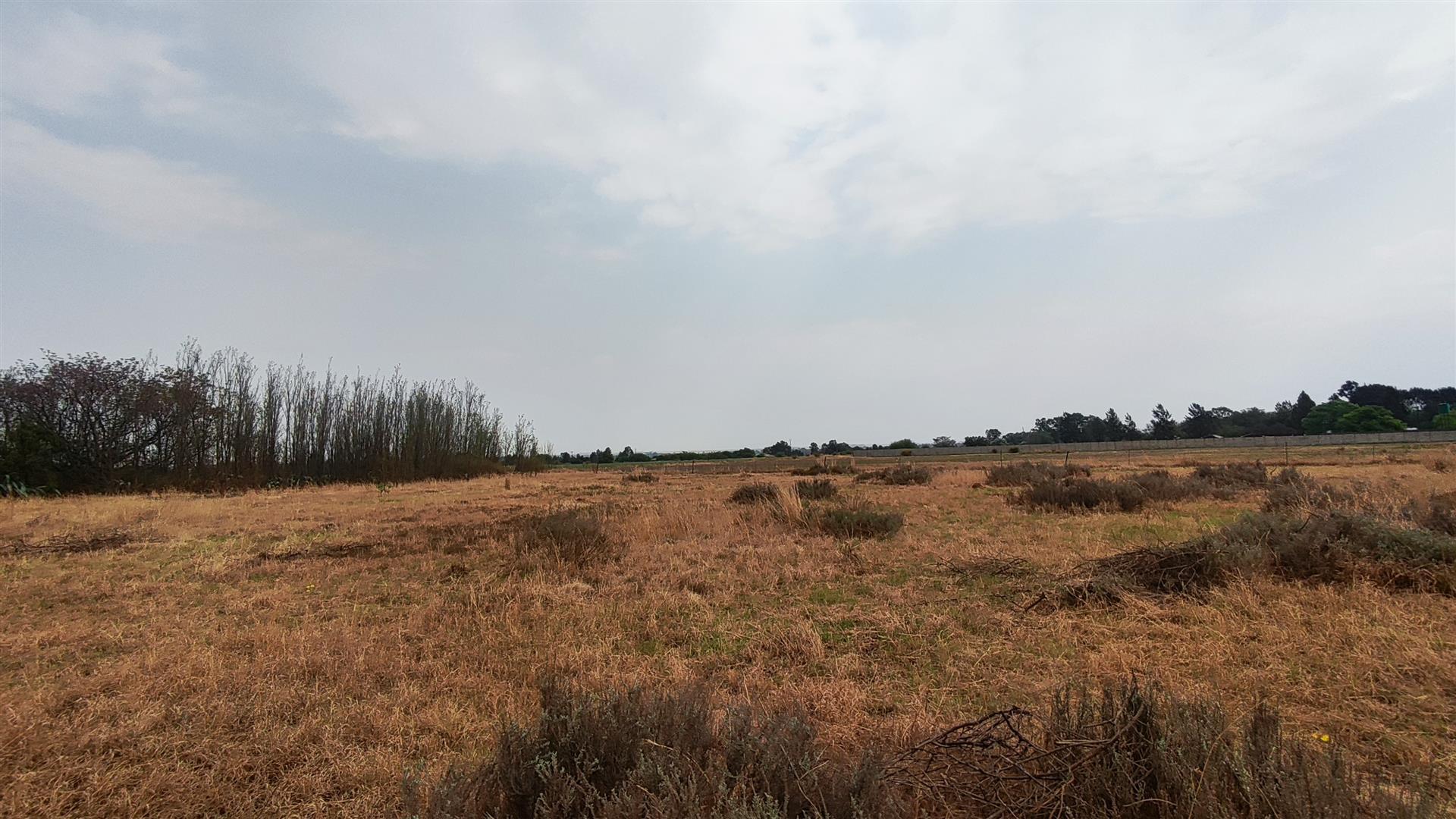 Front View of property in Roodia