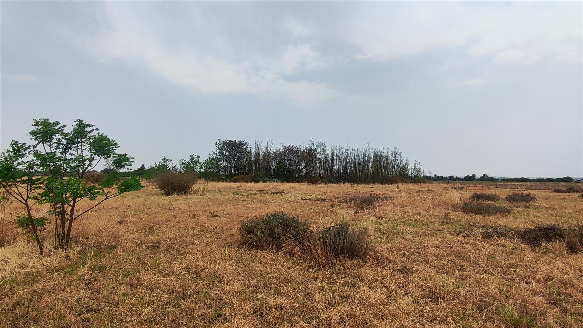 Front View of property in Roodia