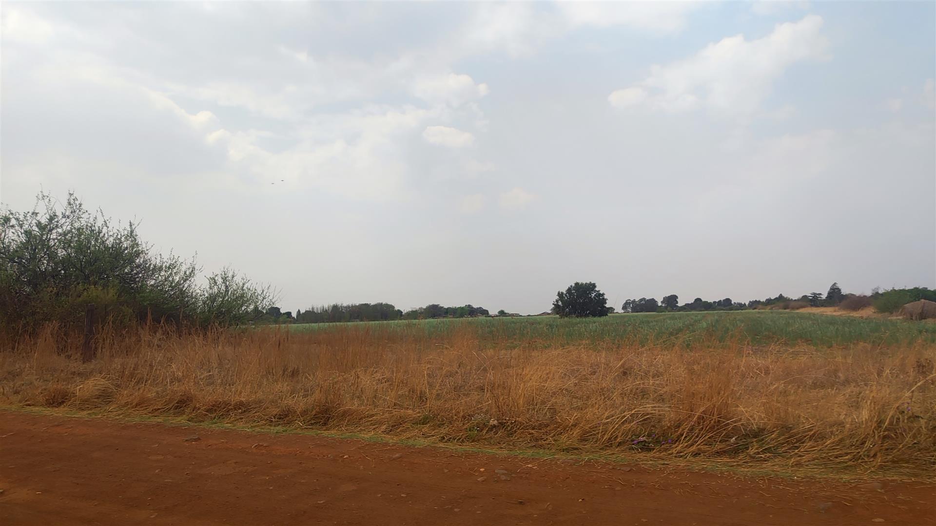 Front View of property in Roodia