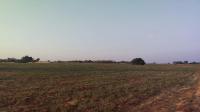 Spaces of property in Roodia