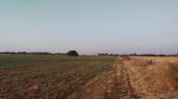 Spaces of property in Roodia
