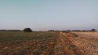 Spaces of property in Roodia