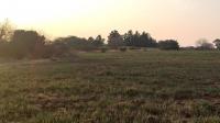 Spaces of property in Roodia