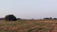 Spaces of property in Roodia