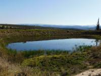Farm for Sale for sale in Montagu