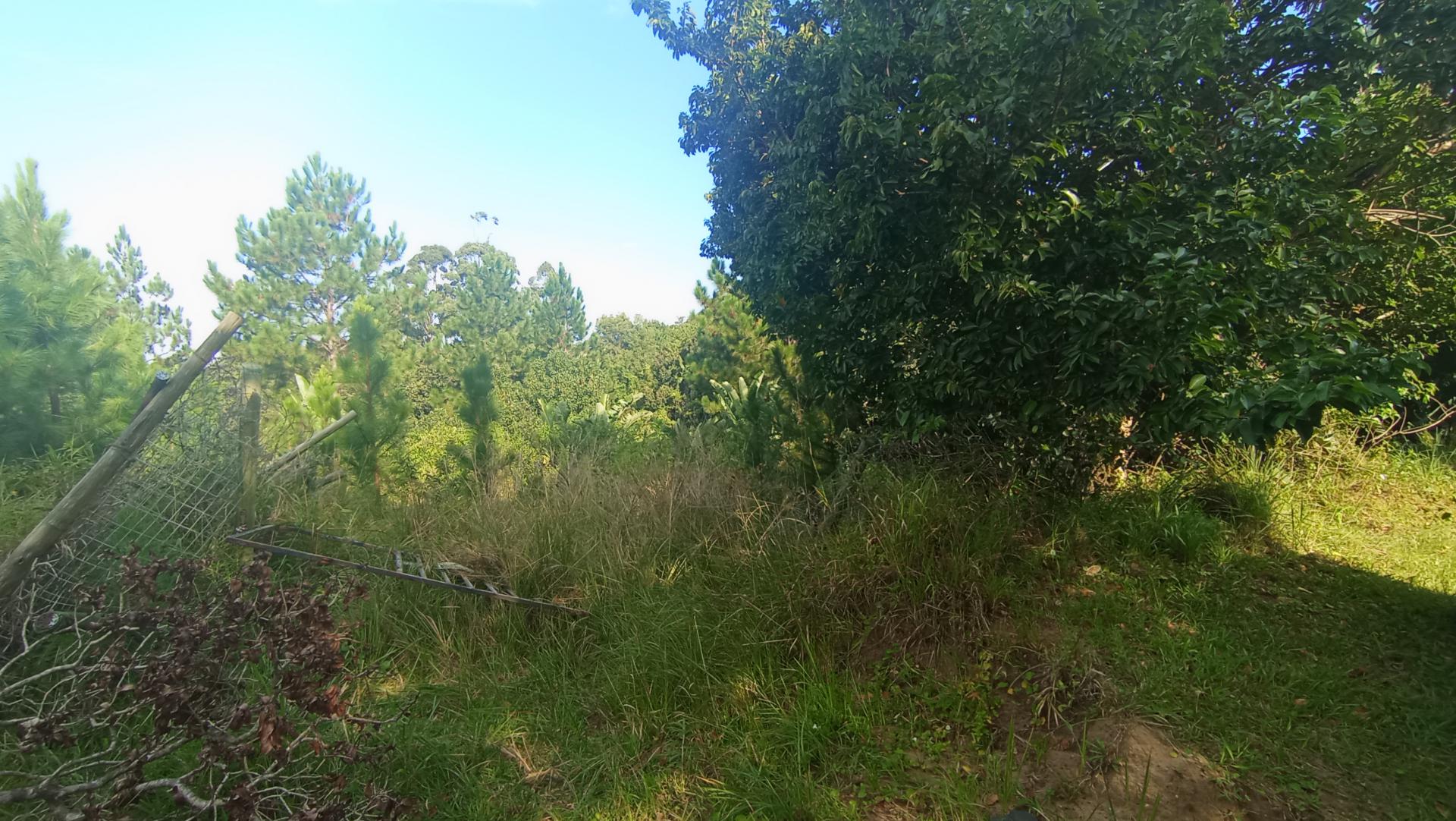 Front View of property in Leisure Bay