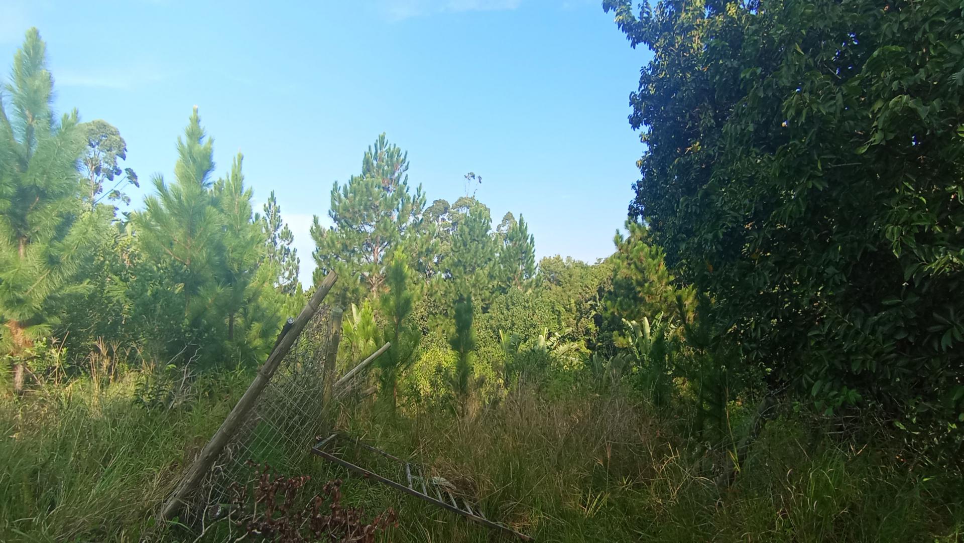 Front View of property in Leisure Bay