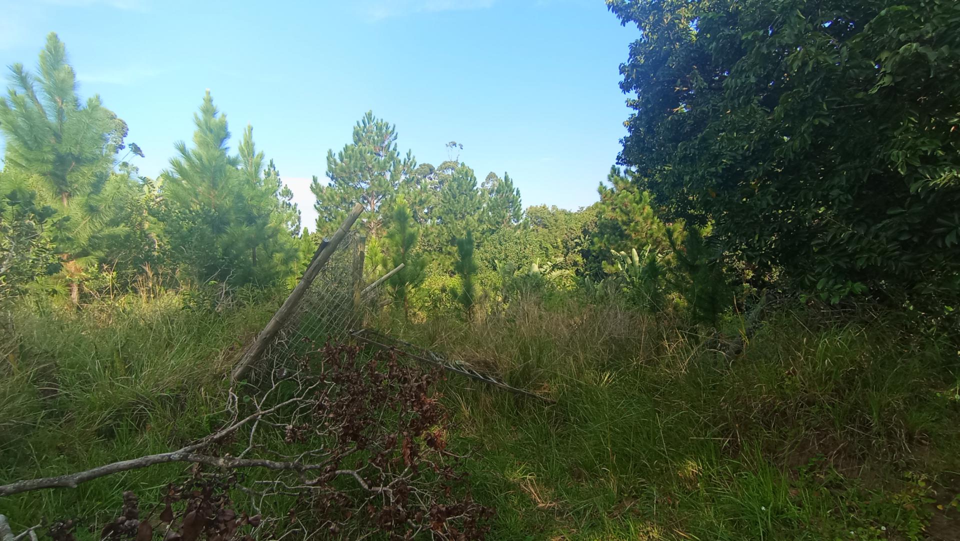 Front View of property in Leisure Bay