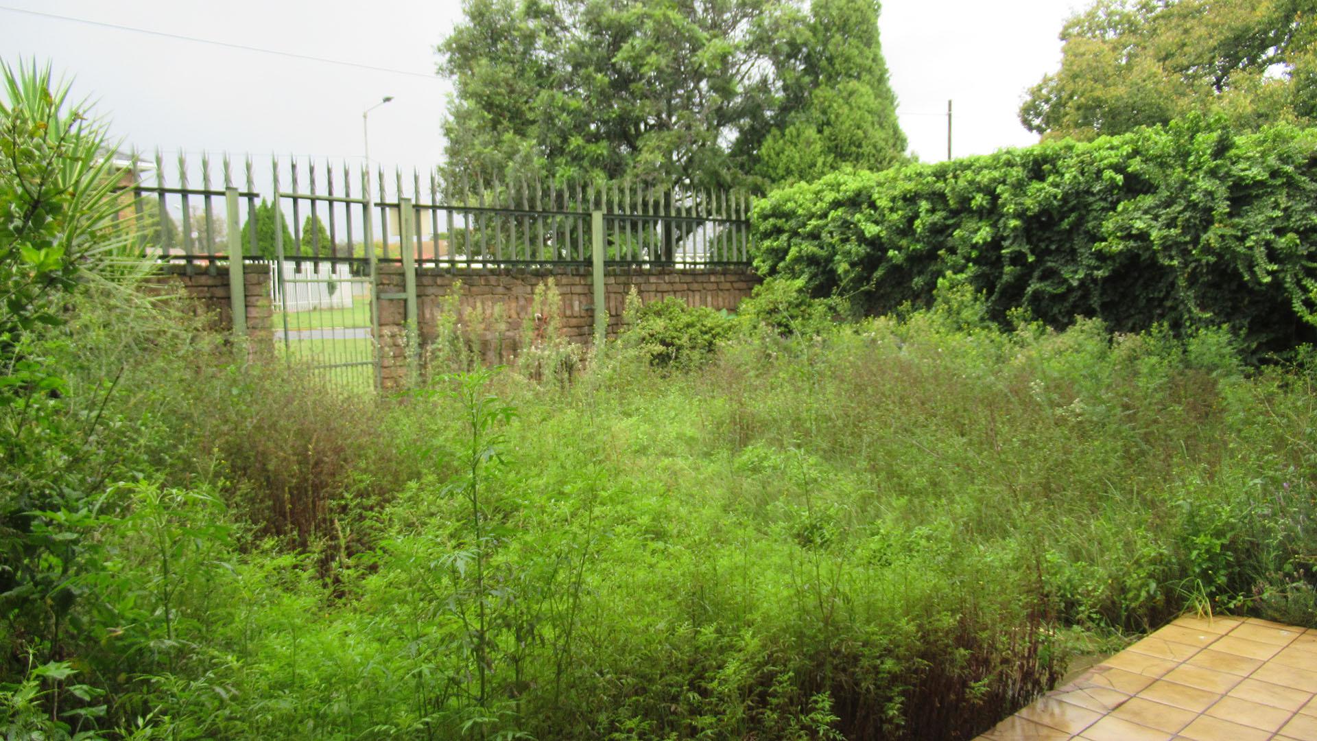 Backyard of property in Greenhills