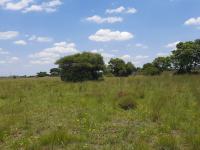  of property in Farm Haakdoornboom