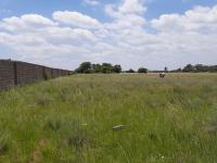  of property in Farm Haakdoornboom