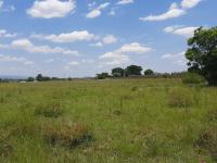  of property in Farm Haakdoornboom