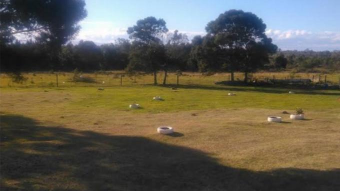 Smallholding for Sale For Sale in Port Elizabeth Central - Private Sale - MR616364