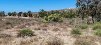  of property in St Helena Bay