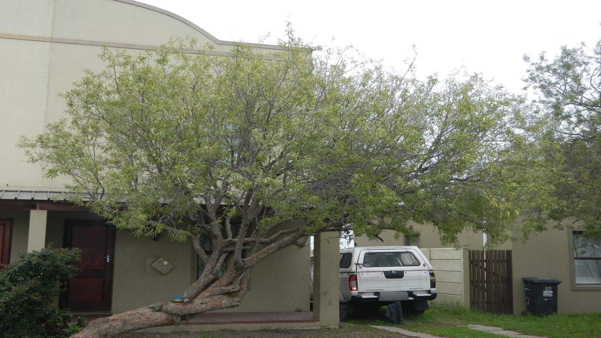 Front View of property in Blue Downs