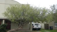 Front View of property in Blue Downs
