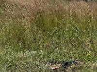 of property in Aerorand - MP
