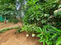  of property in Polokwane