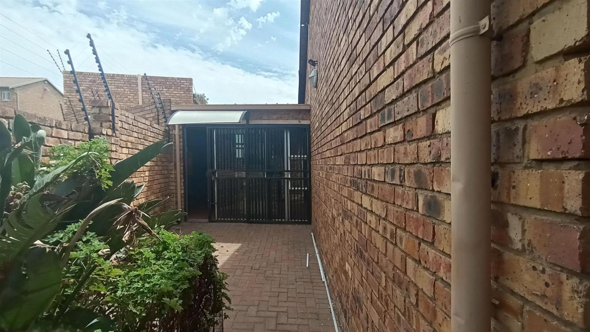 Backyard of property in Terenure