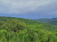  of property in Parys