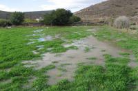  of property in Ladismith