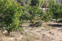  of property in Ladismith