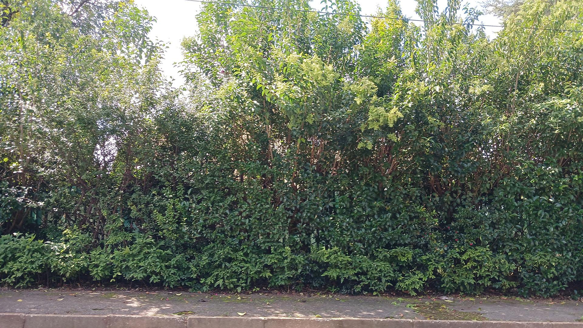 Front View of property in Sydenham - JHB