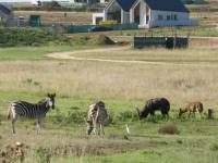 Land for Sale for sale in Hartenbos