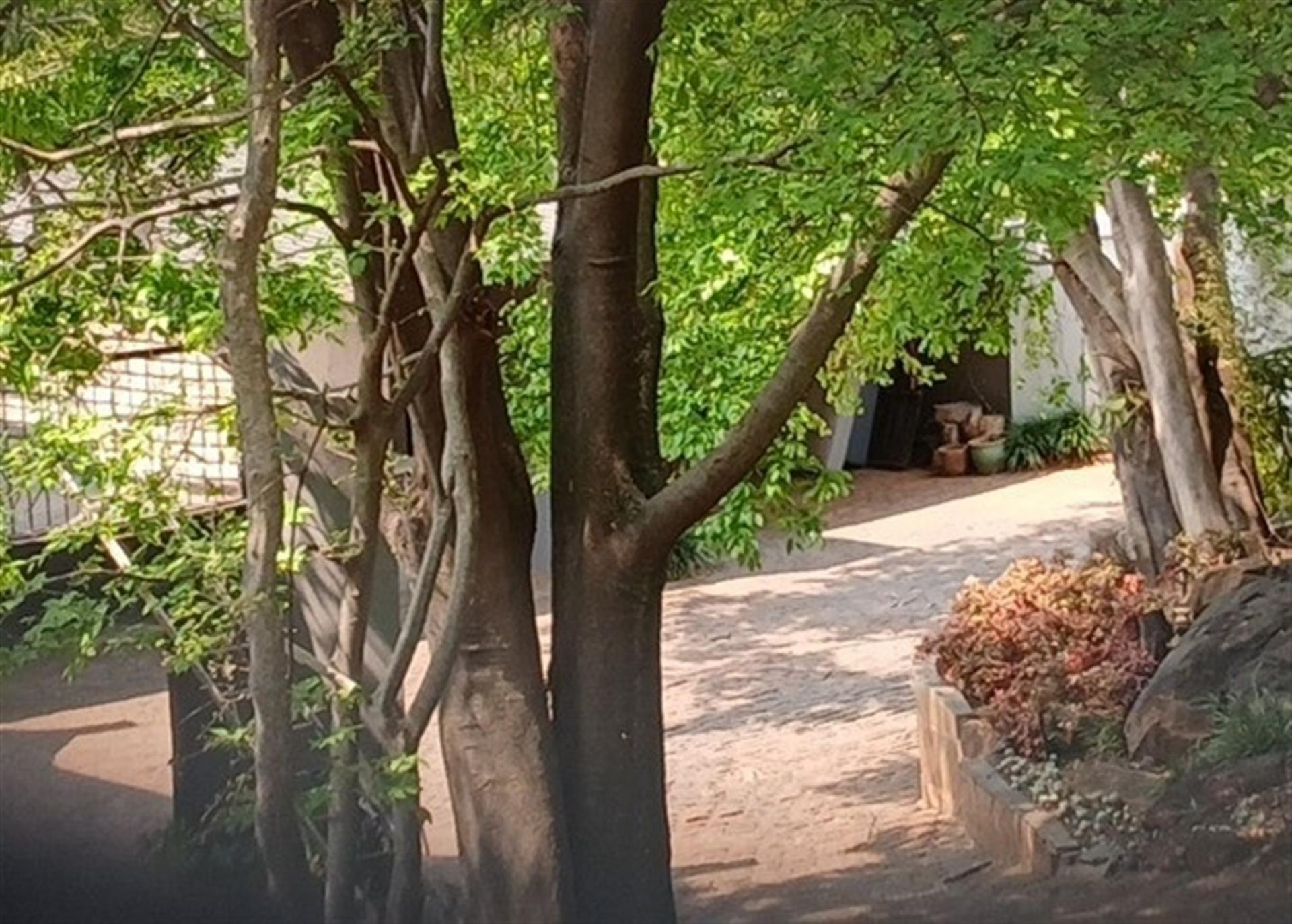 Front View of property in Northcliff