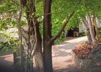 Front View of property in Northcliff