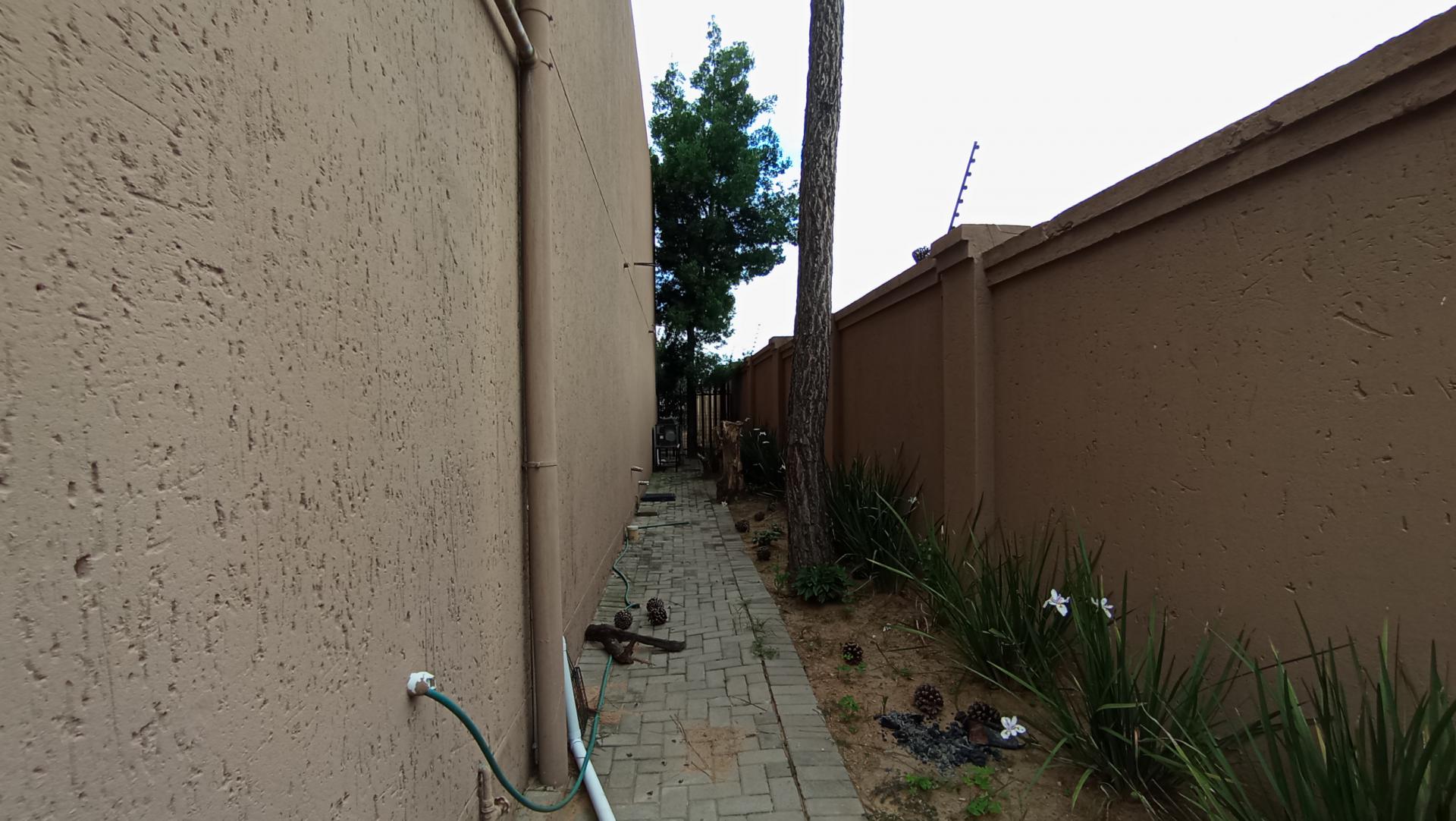 Backyard of property in Buccleuch