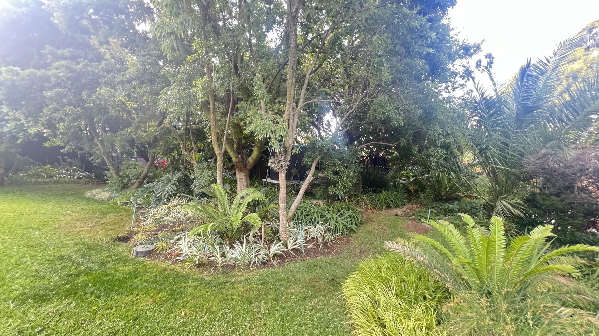  of property in Mondeor